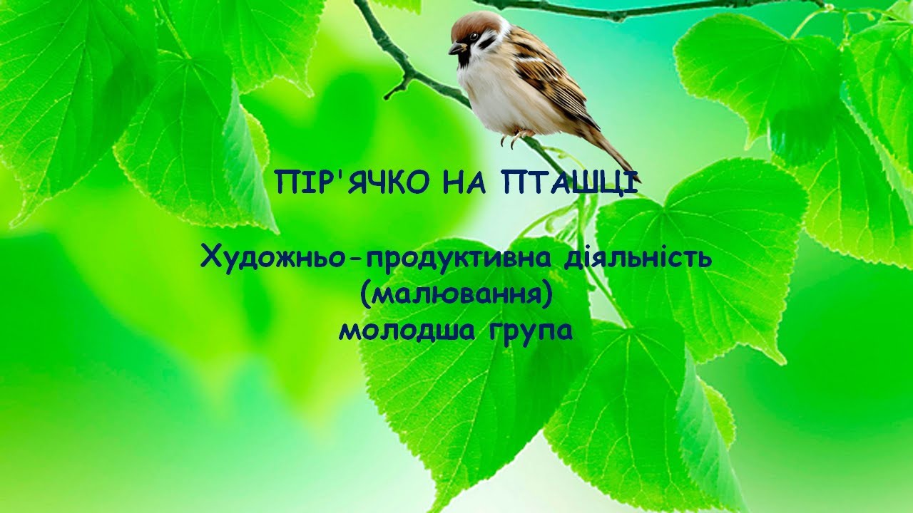 Художньо-продуктивна діяльність. Малювання. Молодша група. Пір’ячко на пташці