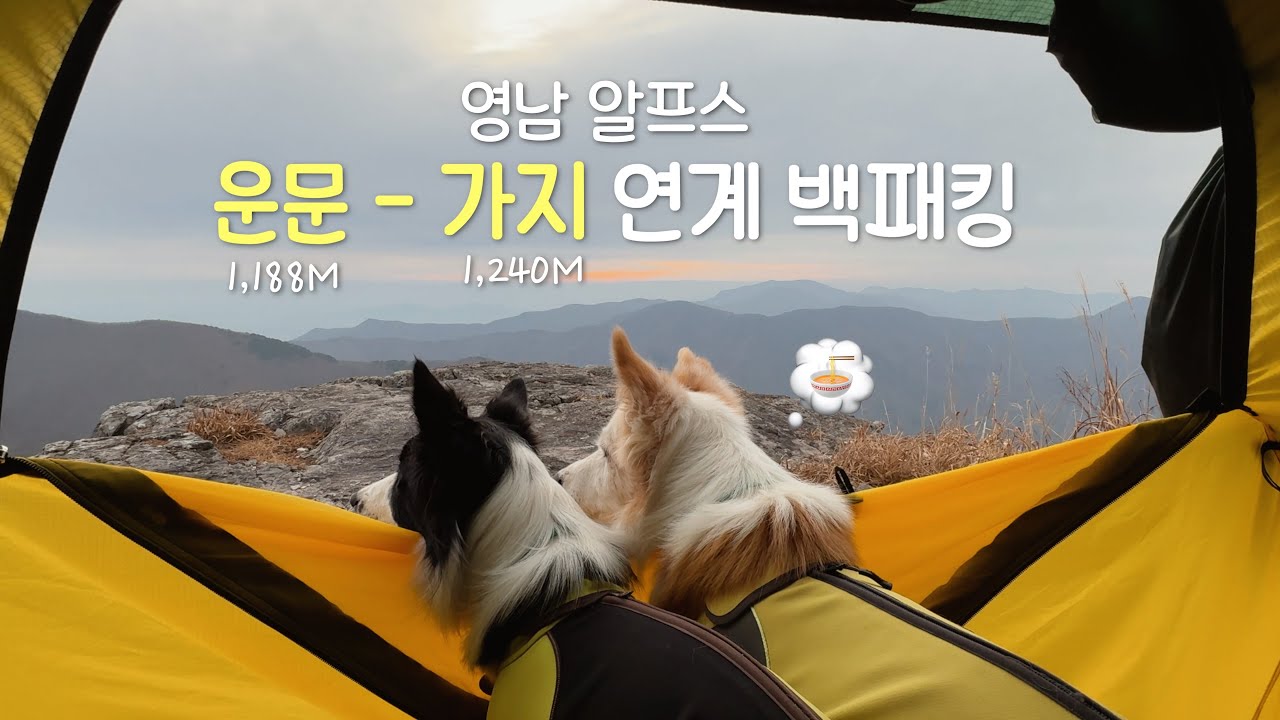 강아지들과 함께 영알 운문산-가지산 백패킹으로 걸어봤습니다