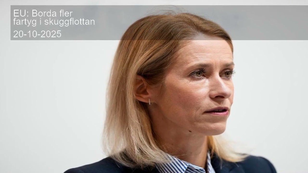 EU: Borda fler fartyg i skuggflottan