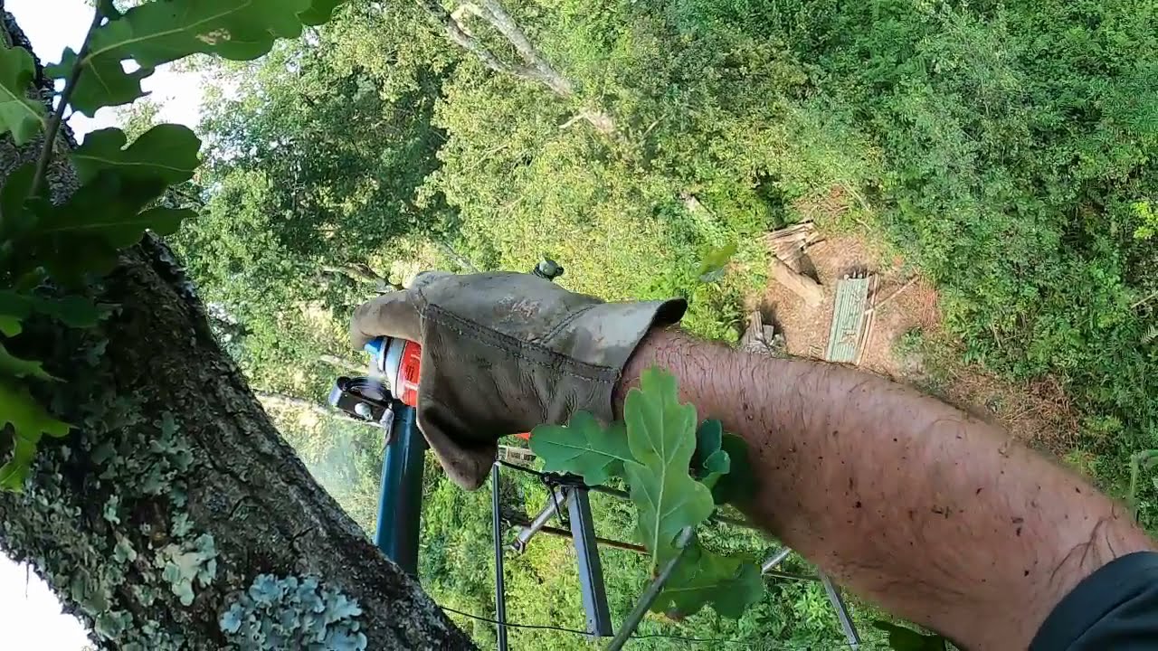 montage appeaux palombi&egrave;re........