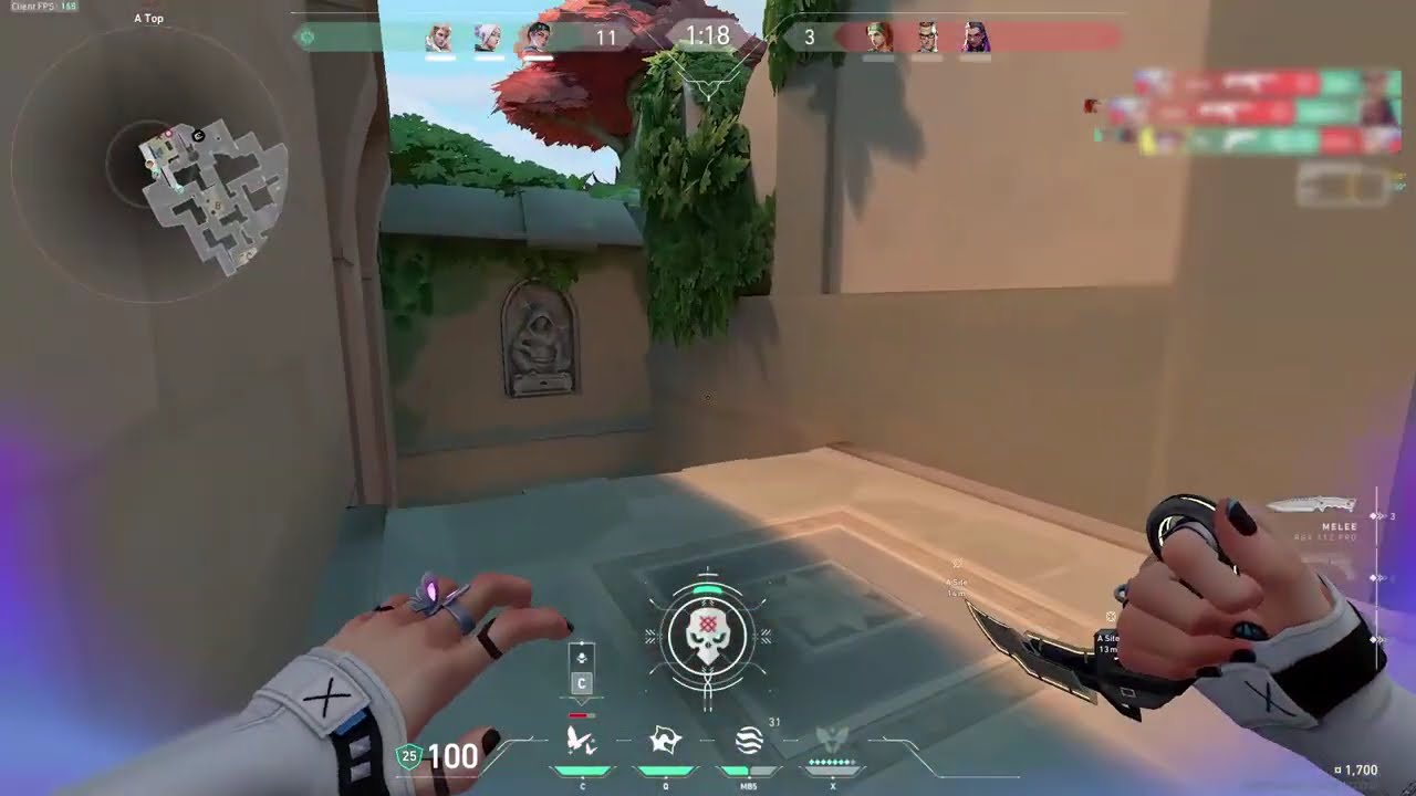 Using the BEST Valorant Makcu Colorbot🎯(Ft. Badware)