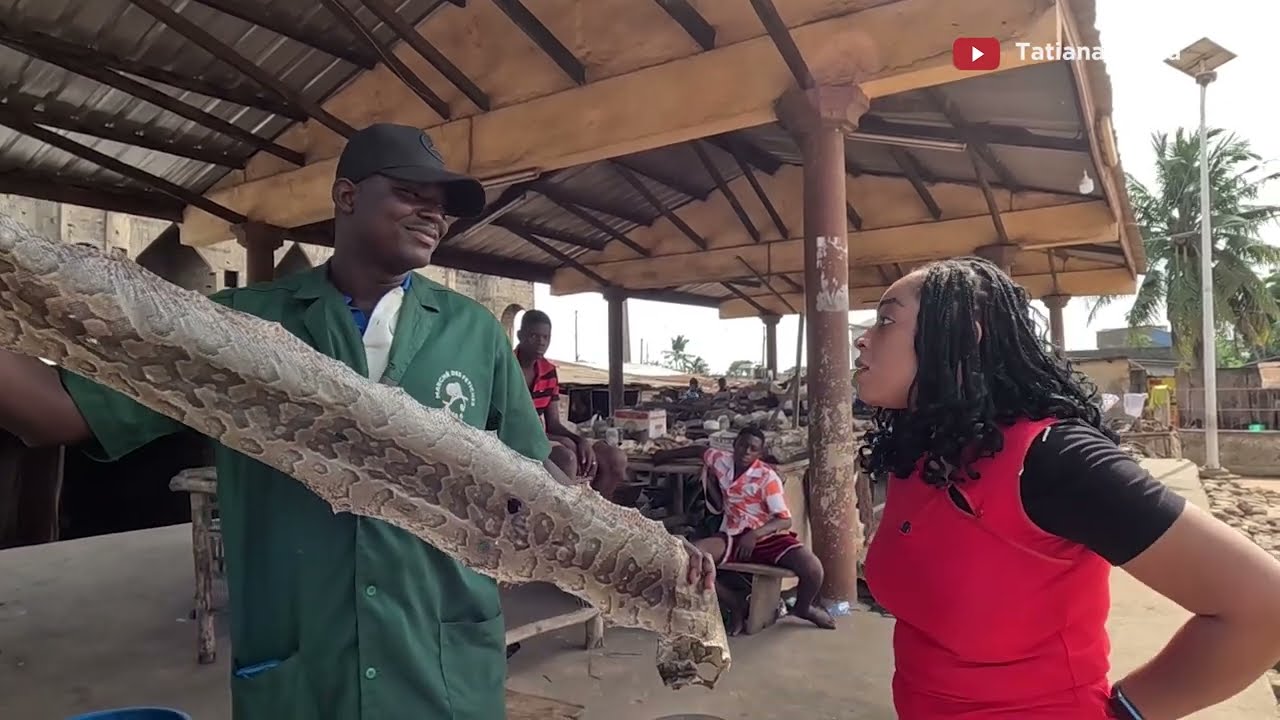 the popular Fetish \ VOODOO market in Togo West Africa / vlog