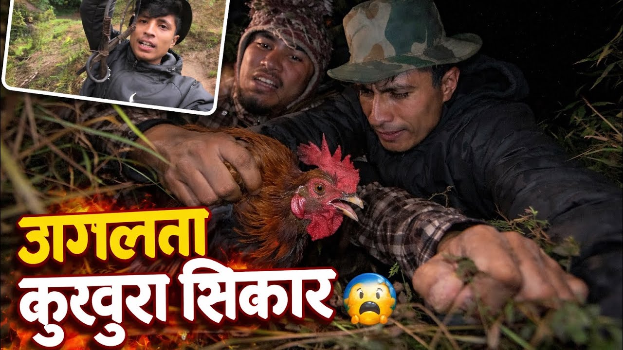 जंगलमा बन कुखुरा फाइट😱!!Jungle ma Ban Kukhura Fight🦴!! KOLERI KANCHO