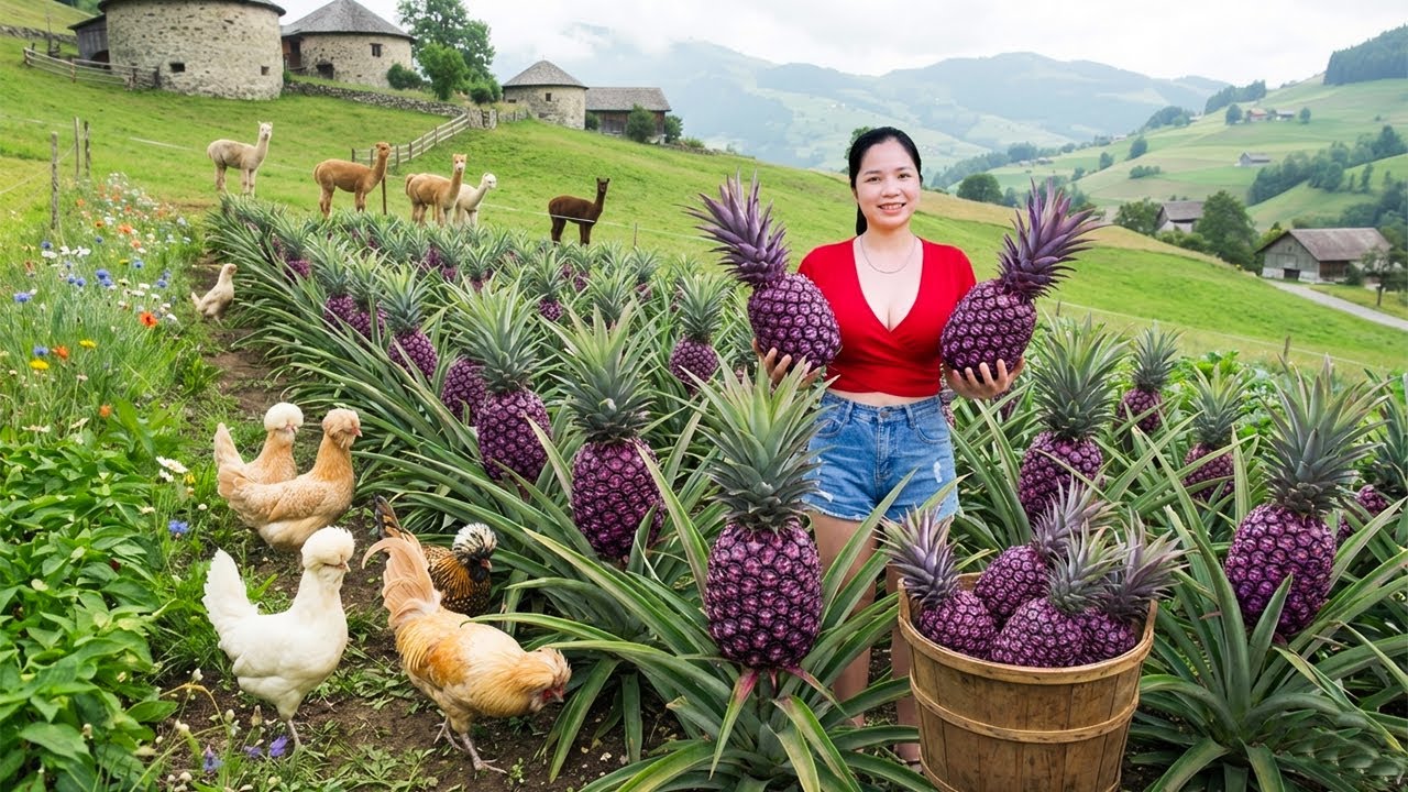 Harvesting 2000+ STUNNING Rare Purple Pineapples on The Farm Goes To Market Sell For Villager