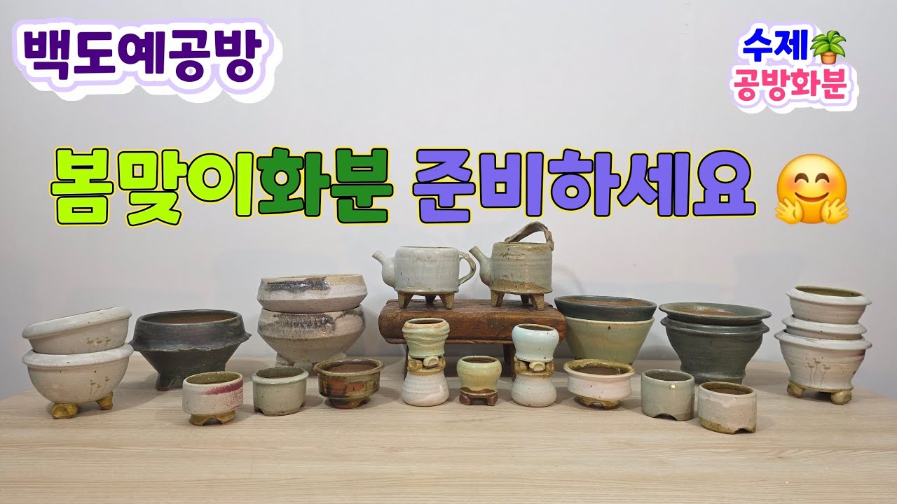 20260219(276회 영상)수제화분으로 봄맞이 하세요🪴🤗#수제화분#공방화분 #야생화화분#다육화분#아프리카식물 #고급화분#명품화분#분갈이화분#봄분갈이#주전자화분#선인장#작품화분