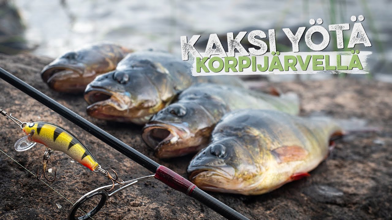 Ahvenkalassa korpijärvellä – Kahden yön telttaretki Kainuussa