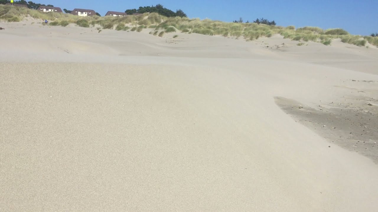 Barchan Dunes and sand transport on beach