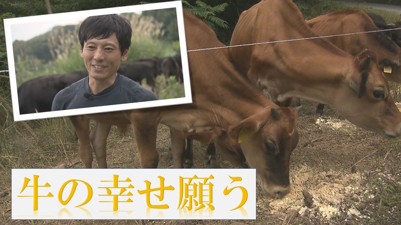 自然放牧で命再び　「牛の幸せ」願う畜産農家