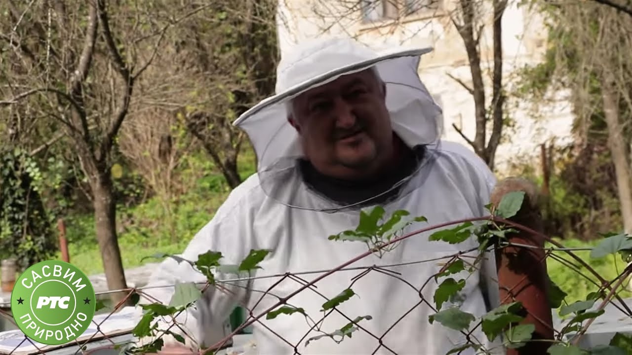 Sasvim prirodno: Stara planina, Timok, Zaglavak - 1. deo (Jovan Memedović)