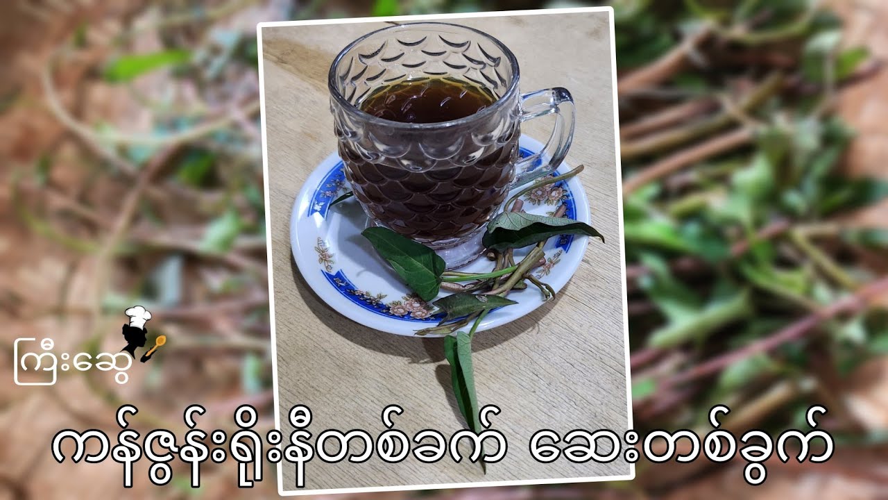 ကန်ဇွန်းရိုးနီတစ်ခက် ဆေးတစ်ခွက် | Kyee Swe