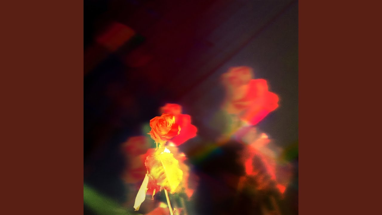 Petals on the Moon