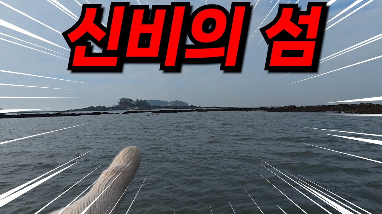 한 달에 딱 한 번 어부들만 들어갈 수 있는 손이 안 탄 신비의 섬에서 해루질을 한다면? 파면 나오네요!
