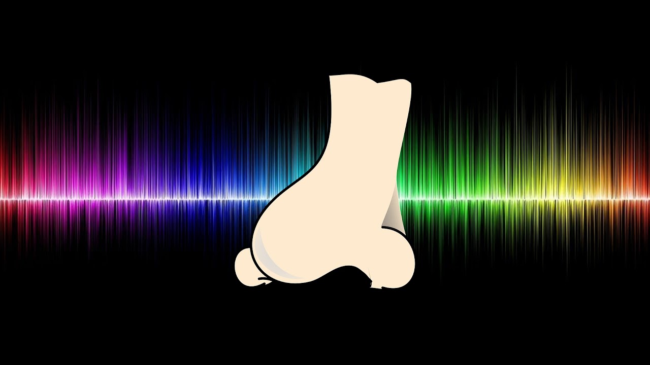 Long Fart - Free Sound Effect [Youtube Audio Library]