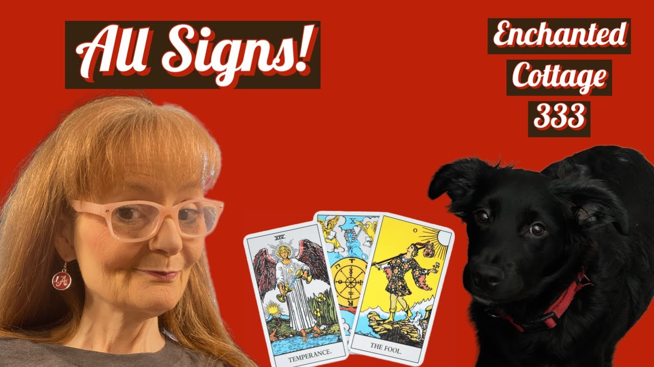 ALL SIGNS! LOVE & MONEY COLLECTIVE + PAID MINI READINGS! BOOK NOW USING PINNED LINK!