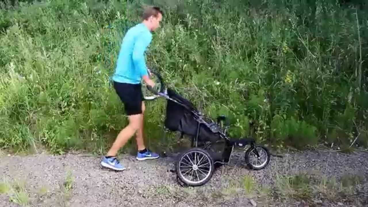 Beemoo Sport Kombo