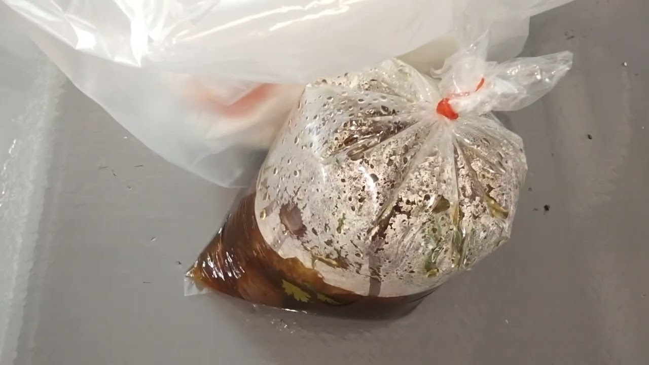 มาเที่ยว บางแค แวะซื้อของกิน แยกบางแค & ตลาดบางแค  บรรยากาศ มื้ออาหารในที่พัก