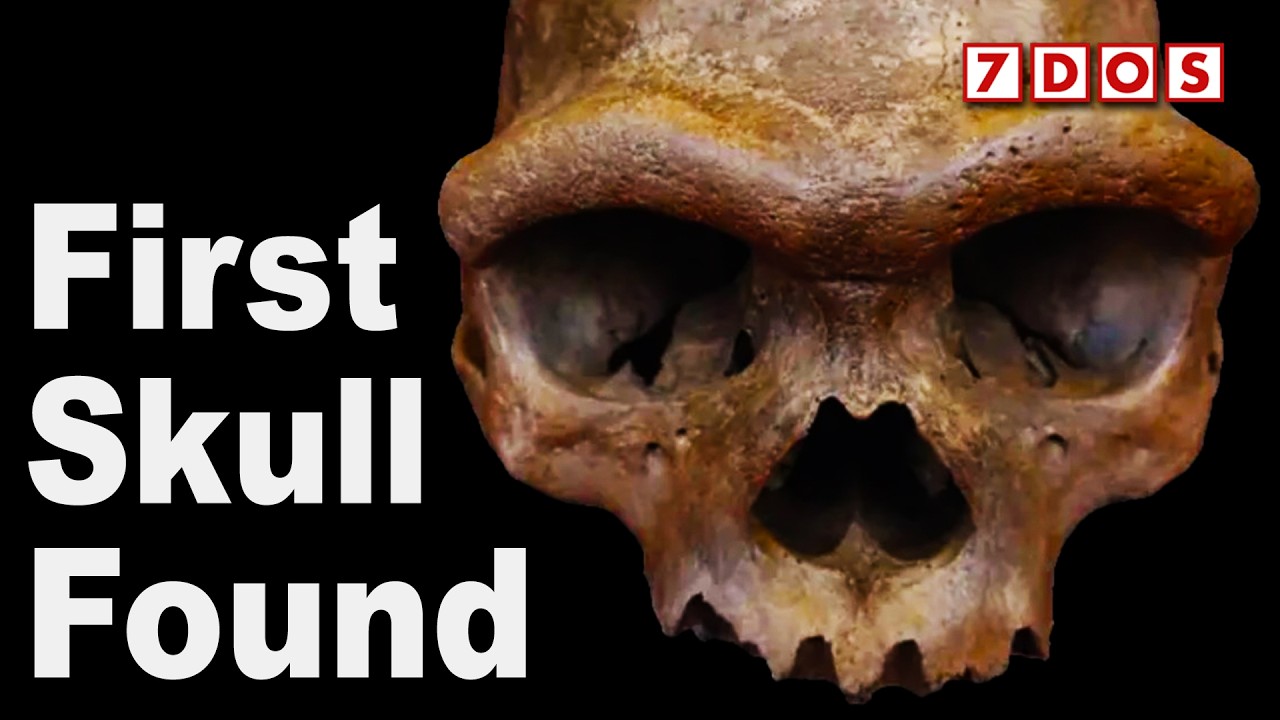 We Finally Know What The Denisovan Humans Looked Like