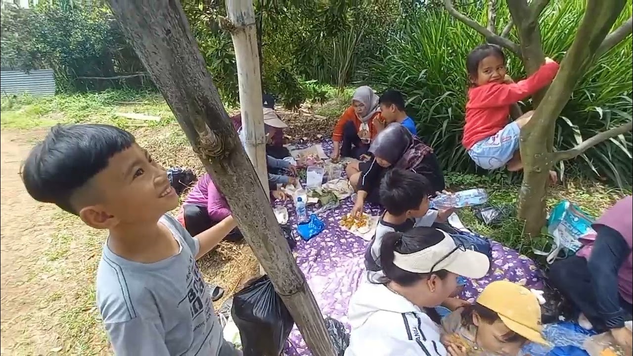 Panen jeruk 