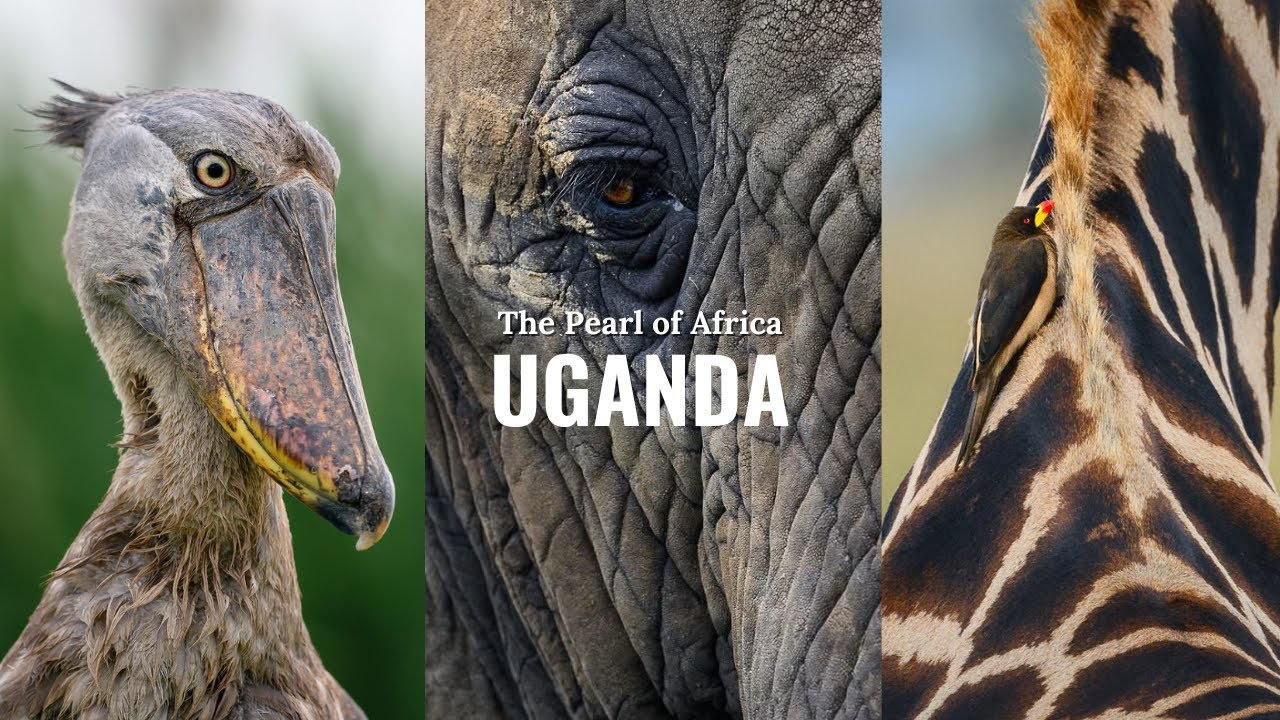 UGANDA 🇺🇬 2023 | The pearl of Africa 4K