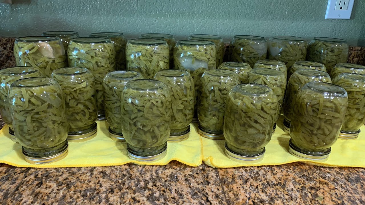 Cómo hacer nopales en conservas O envasado al vacío