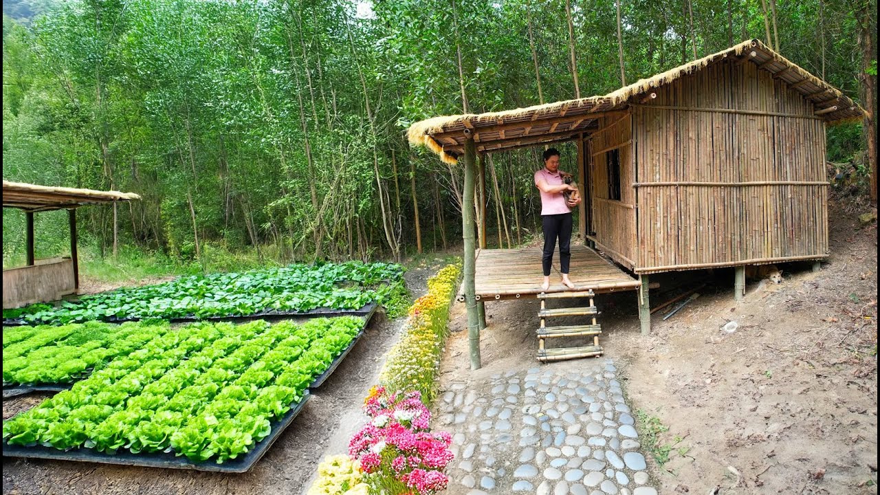 99 days of a girl independently building a complete farm to grow vegetables and raise chickens