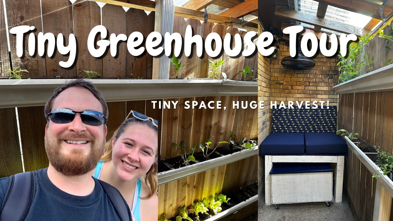 Tiny Green House Tour