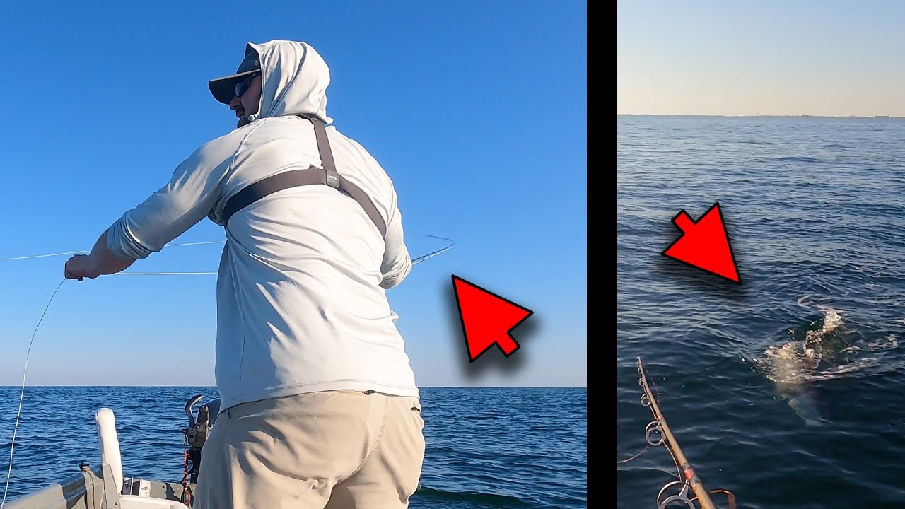 Spanish Mackerel Fly Fishing - Topwater Amberjack