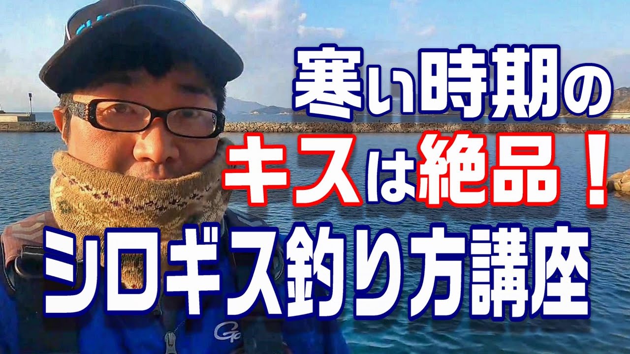 落ちキス越冬ギス講座！この時期から最高に旨くなるキスを釣ろう！　【魚神の釣りいかれへんわ】