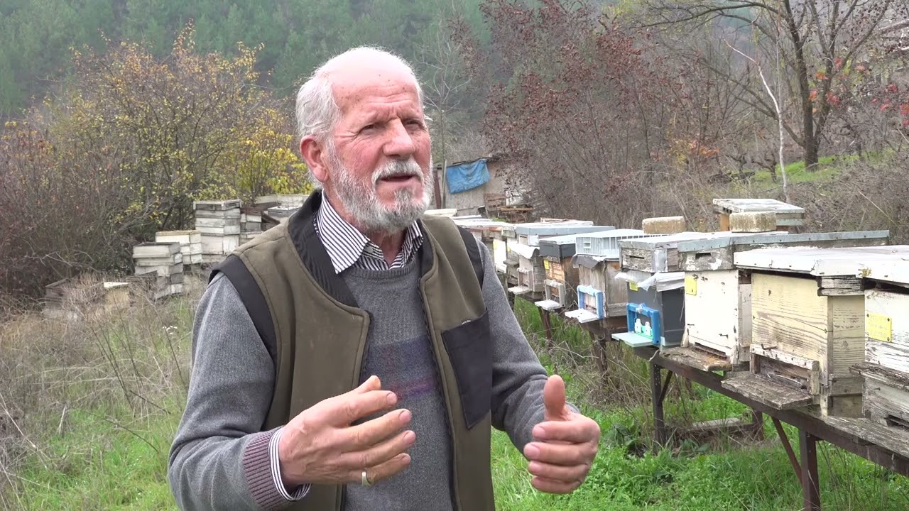 Zirai ilaç yüzünden milyonlarca arısı kovana dönemeden öldü