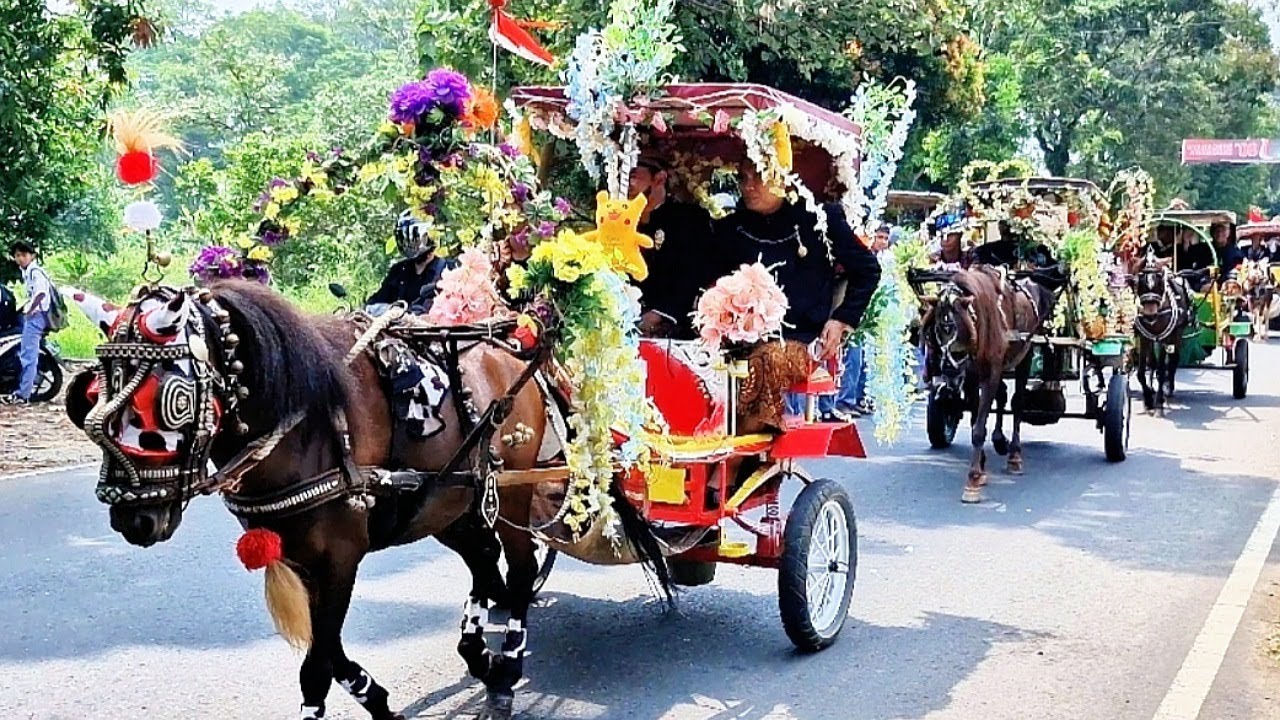 NAIK DELMAN ISTIMEWA - KUDA DELMAN - NAIK KUDA DELMAN - KUDA - LAGU NAIK DELMAN - NAIK DELMAN TANKUS