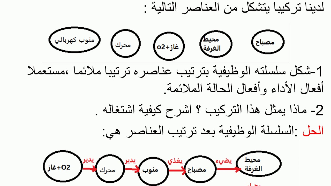 تمارين حول السلاسل الوظيفية والطاقوية للسنة 2 ثانوي S M TM