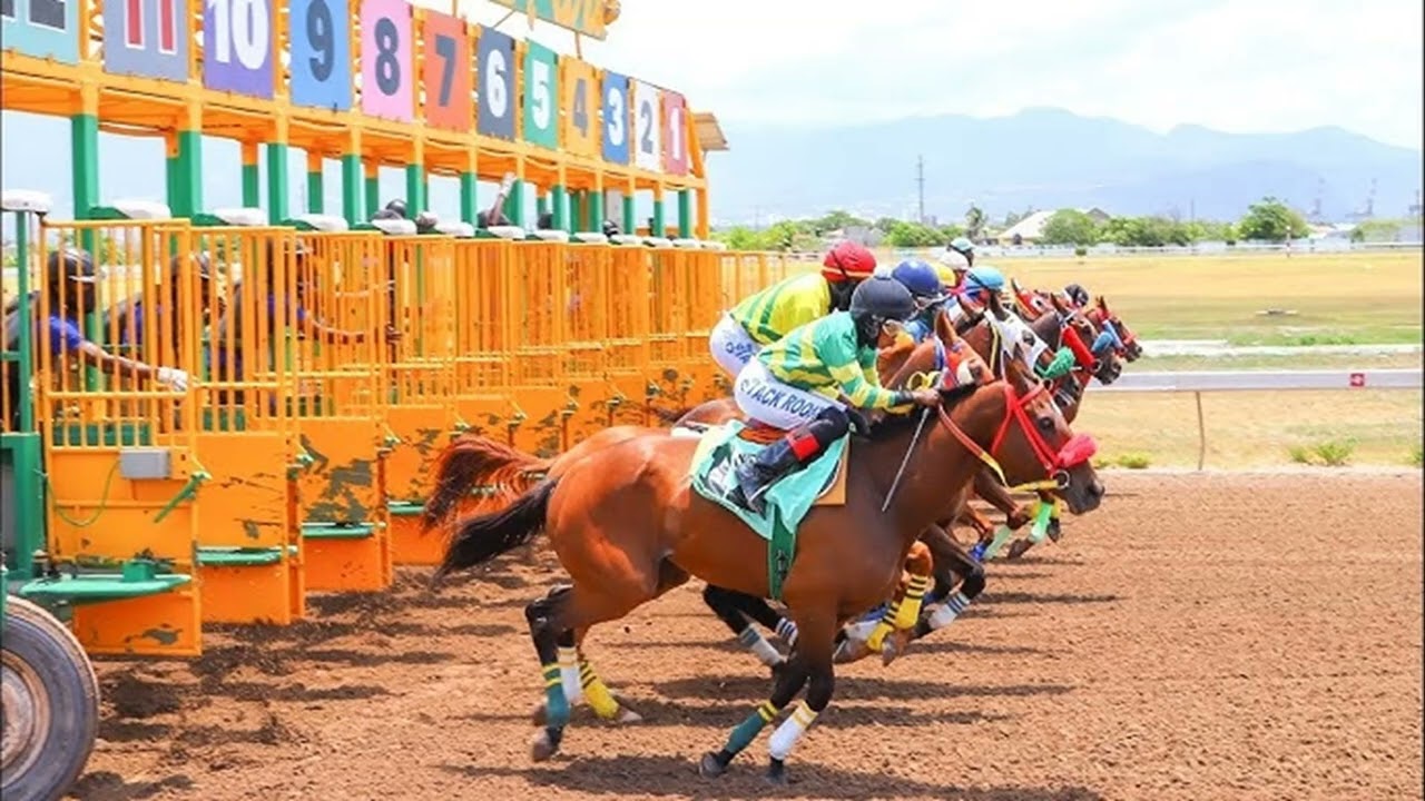 CAYMANAS PARK HORSE RACING TIPS - SATURDAY FEBRUARY 21, 2026
