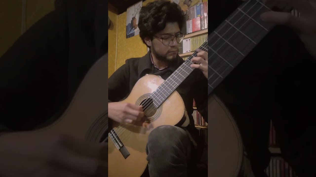 Irvin Zavala - Lattice Bracing guitar 3