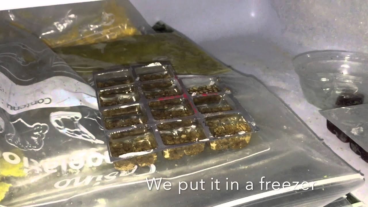 DIY ROOT TABS FOR AQUARIUM PLANTS
