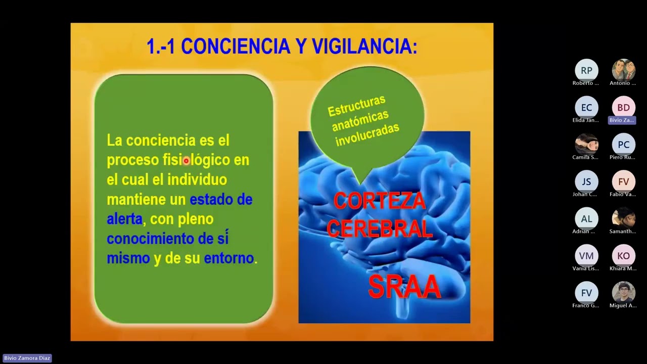 Neuro Clase 5: Funciones cerebrales superiores - Semiolog&iacute;a