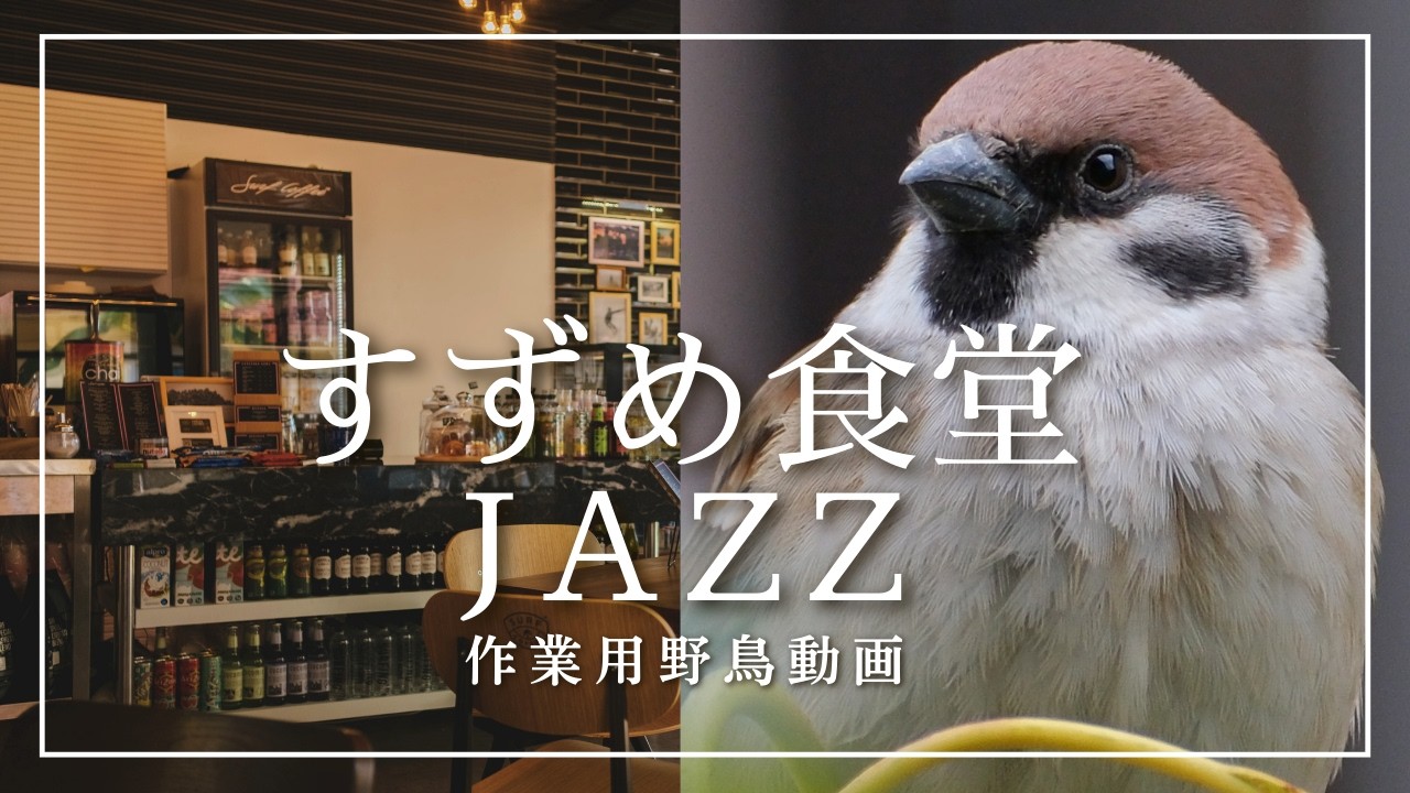 すずめ食堂アンビエント：癒しの作業用野鳥動画、日常の様子を静かなJazzと共にお届けします