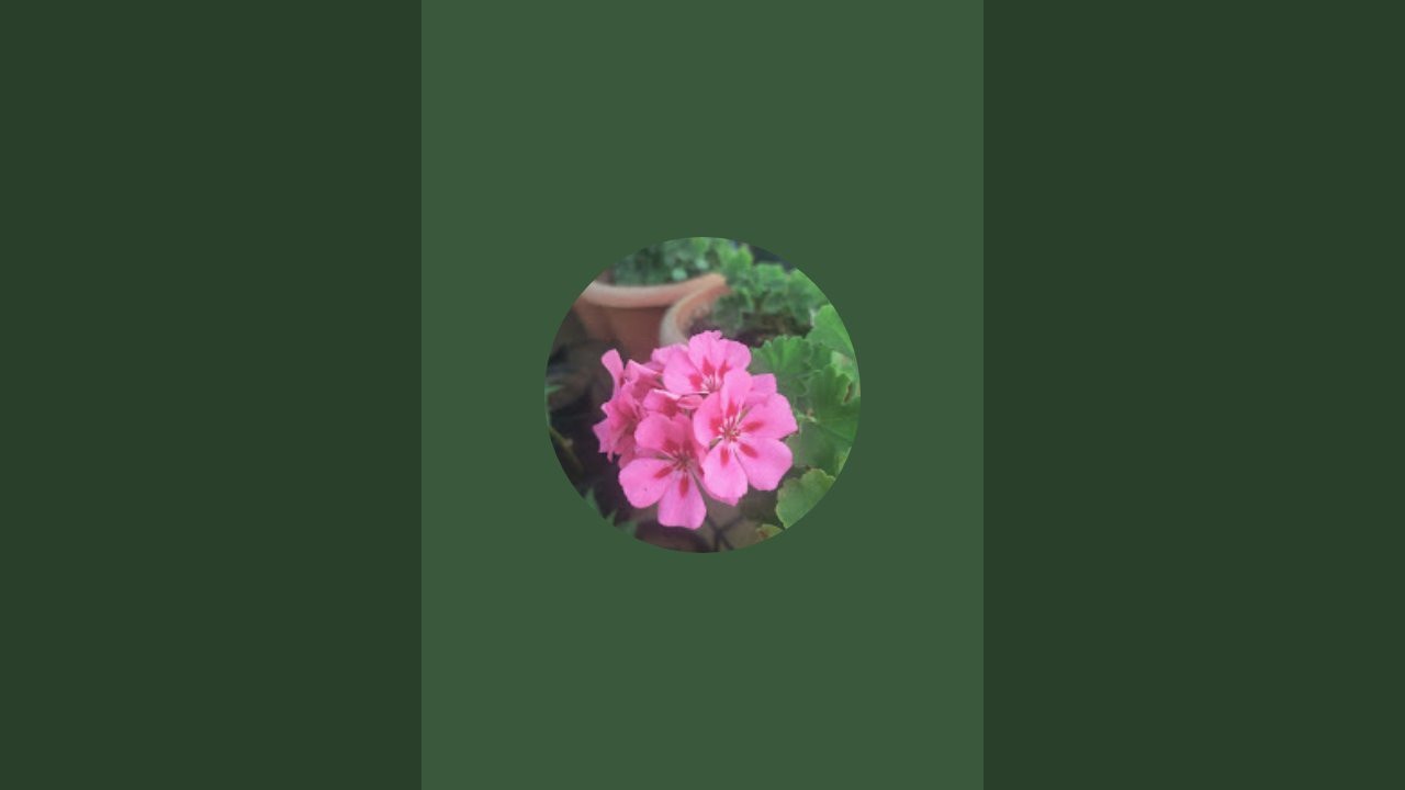 Flowers n Veggies is live!