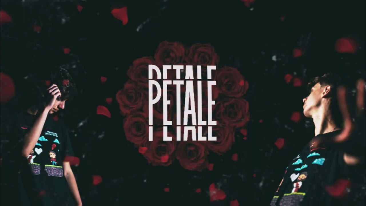 PNE Vali - PETALE (Official Visual Video)