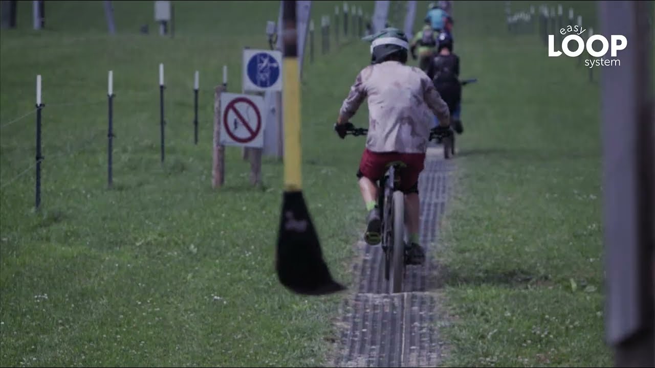 EasyLoop Impressions