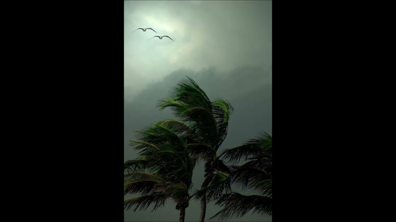 (FREE) Furax Barbarossa Boom Bap Type Beat Old School - TEMPÊTE