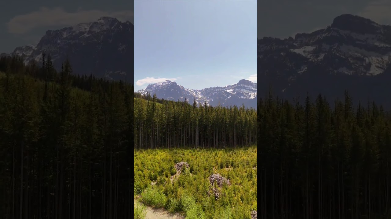 Reiter ORV ATV ST trail #motorcycleriding #mountains #washingtonstate #mini4pro #dji #adventurerig