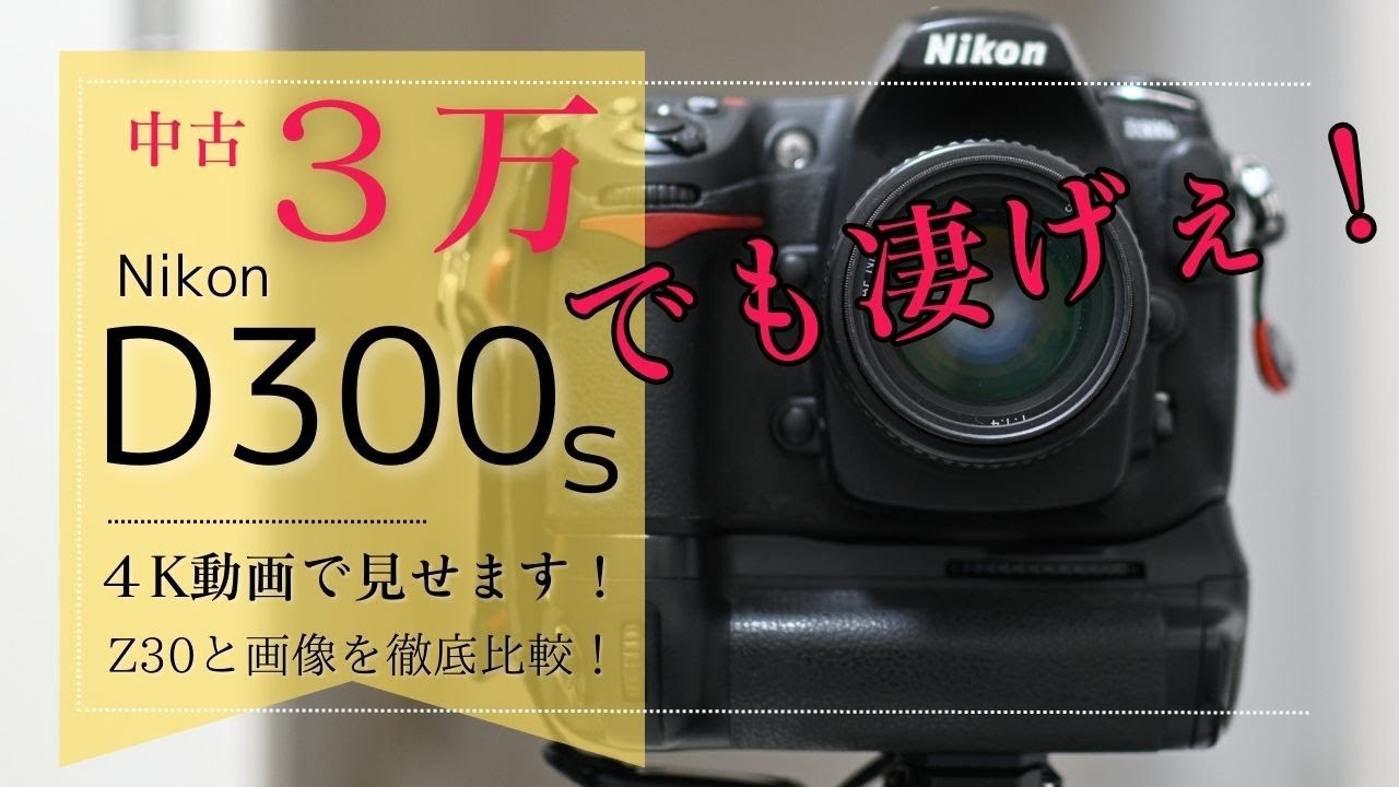 Nikon D300sの本気レビュー！14年前のレフ機ってまだ通用するの？ミラーレスZ30とRAW画像がどれくらい違うのか徹底検証！