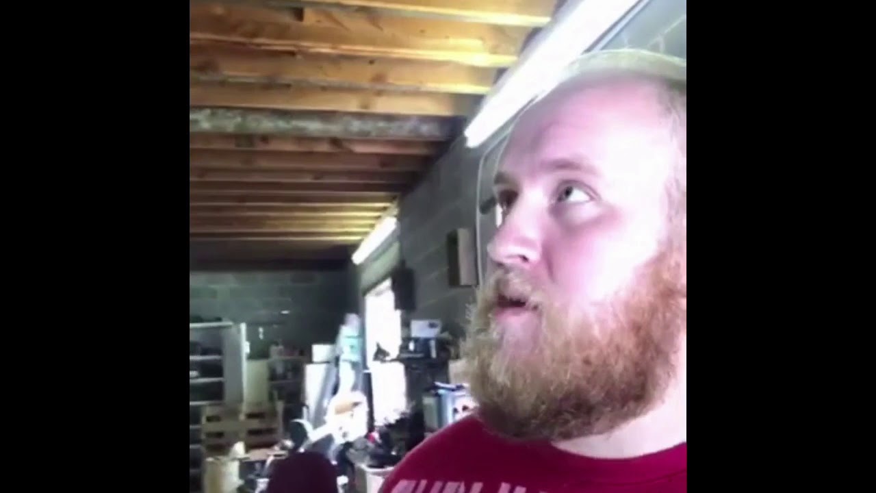 How to remove a hornets nest