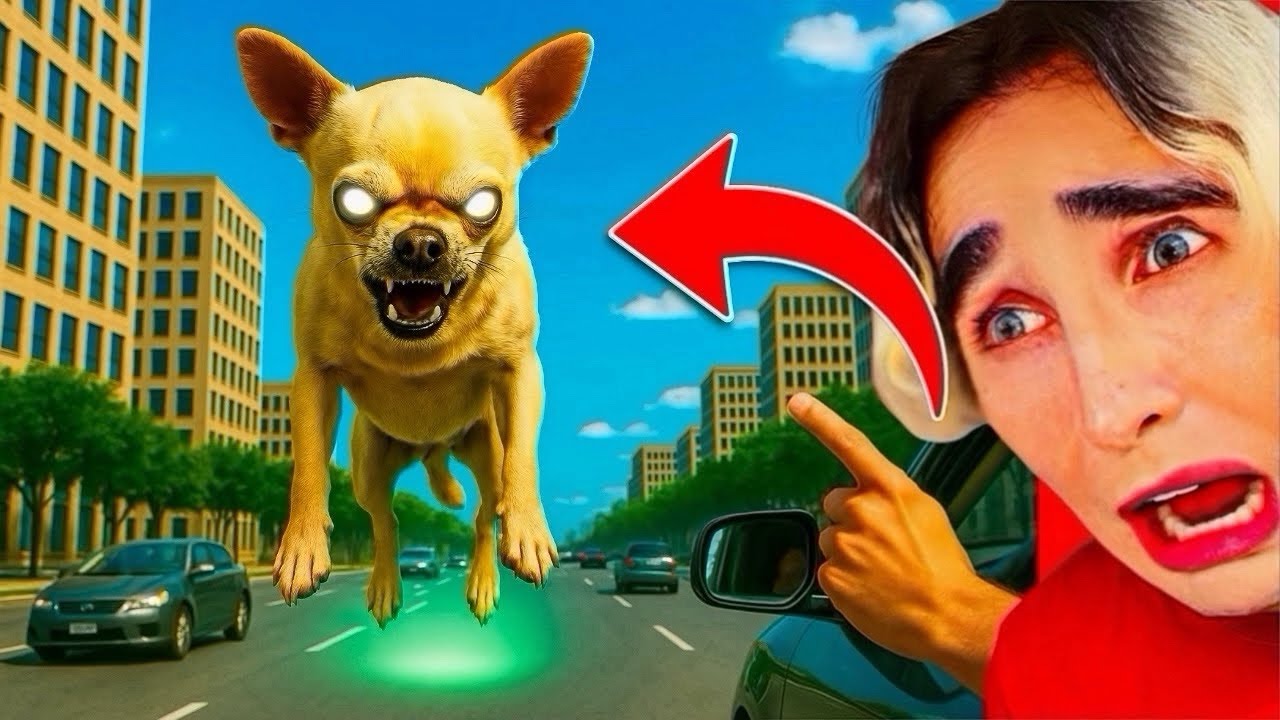 UN CANE STA VOLANDO SOPRA LA STRADA!! 😱
