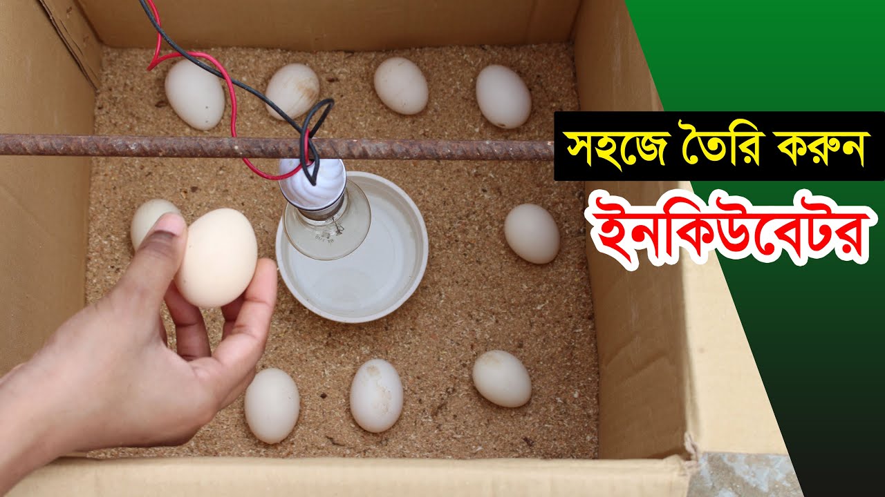 সহজ পদ্ধতি তৈরি করুন ইনকিউবেটর | How To Make Egg incubator at Home without temperature controller