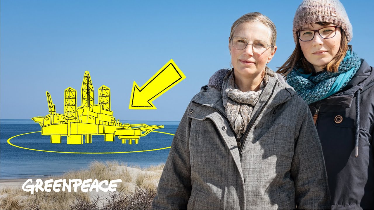 Borkum Riff in Gefahr: Gasbohrungen bedrohen ein Paradies der Artenvielfalt