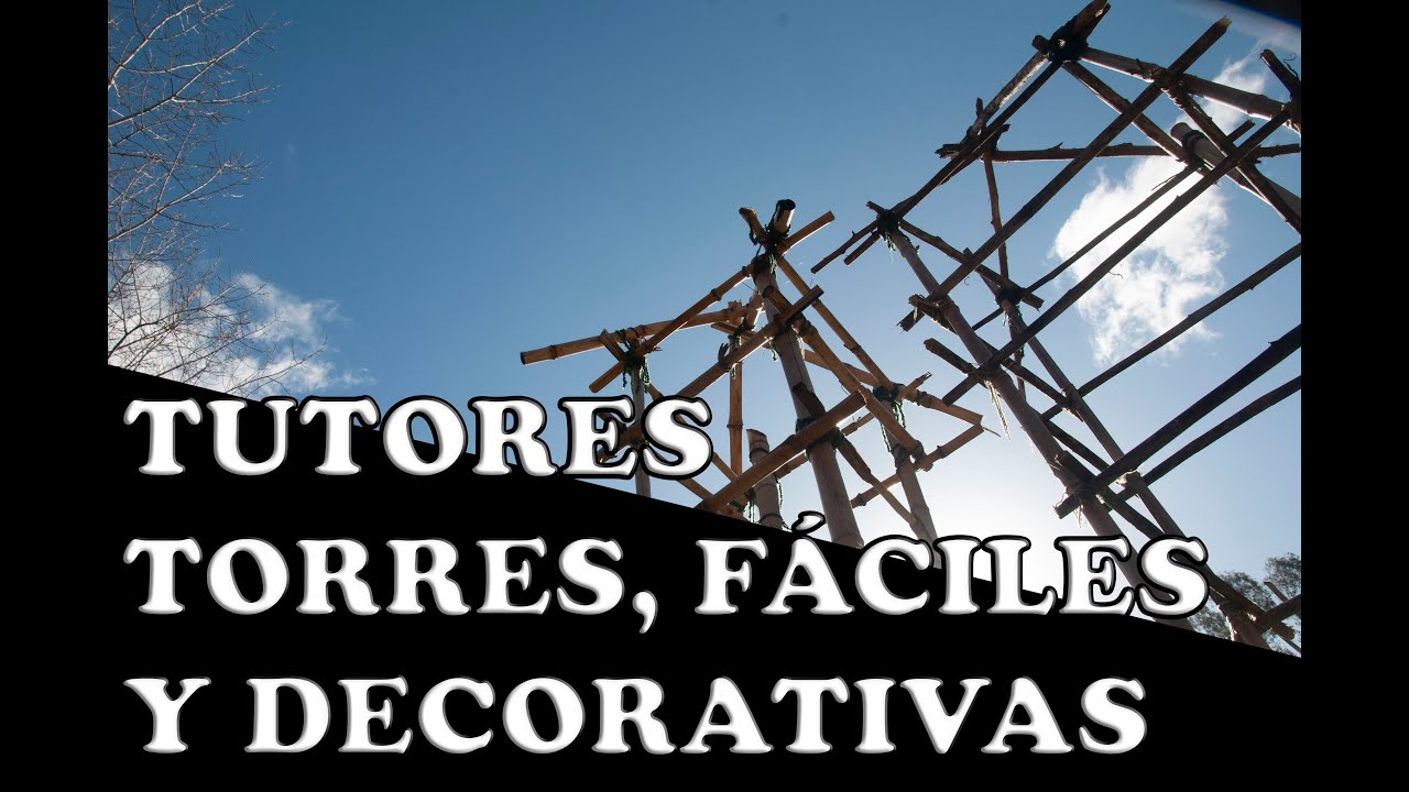 TUTORES EN TORRE, ORIGINALES, CASEROS Y ECON&Oacute;MICOS