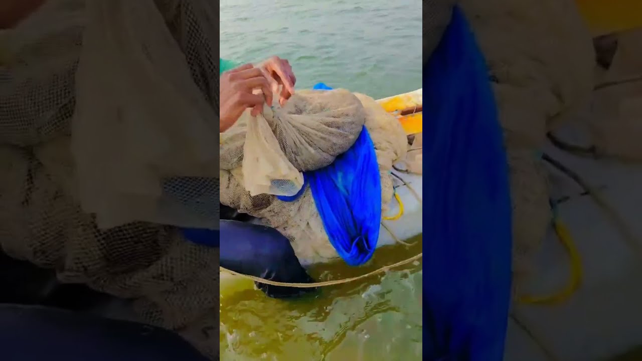 एक ही झटके में गेम ओवर!​आज का लकी शिकार लहरें और एक बड़ी मछली।