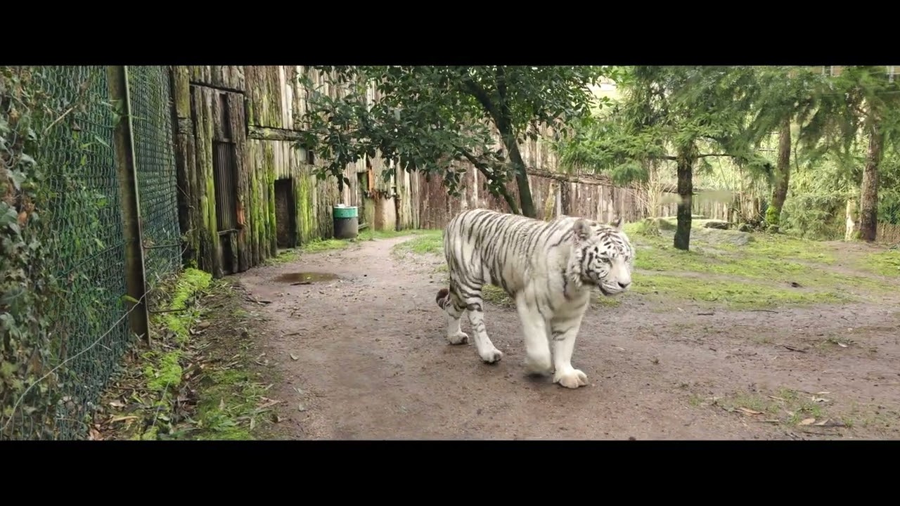 Zoo Amnéville 2026