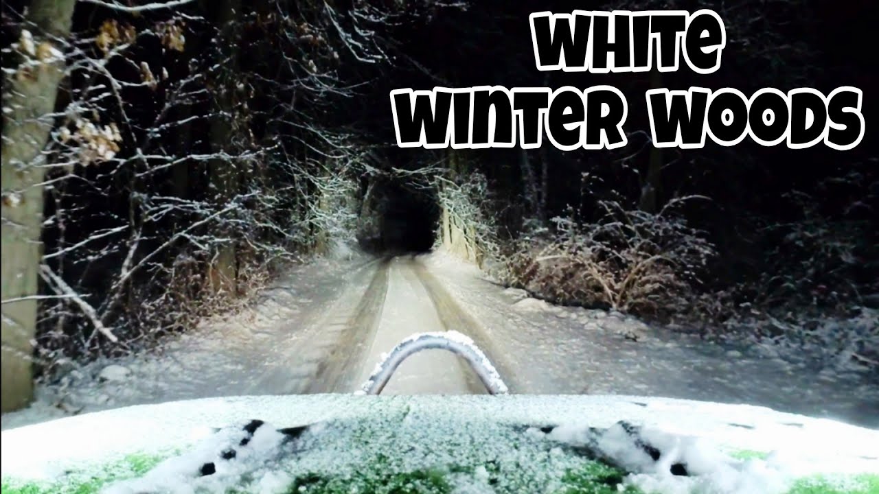 White Winter Woods | Night Drive POV ASMR